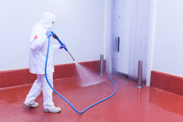 Best Concrete Surface Cleaning in Presidio, TX